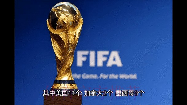 实时追踪世界杯外围赛动态 实时追踪世界杯外围赛动态